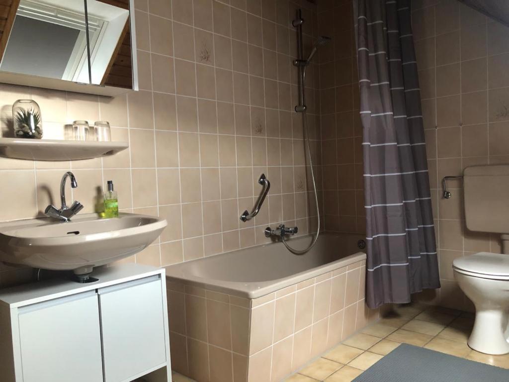 Apartmán Fewo Stubenhocker Pleisweiler-Oberhofen Exteriér fotografie